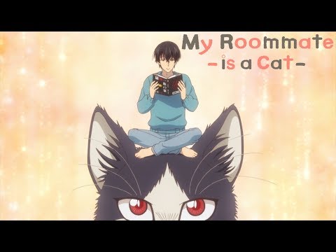 My Roommate is a Cat - Opening | Unknown World