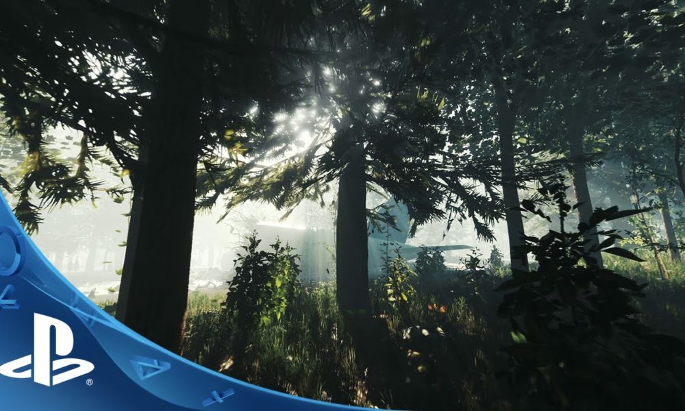 The Forest per Playstation 4 ha una data d'uscita 2
