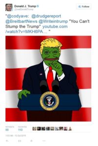 La storia di Pepe The Frog: da meme a simbolo d'odio 13