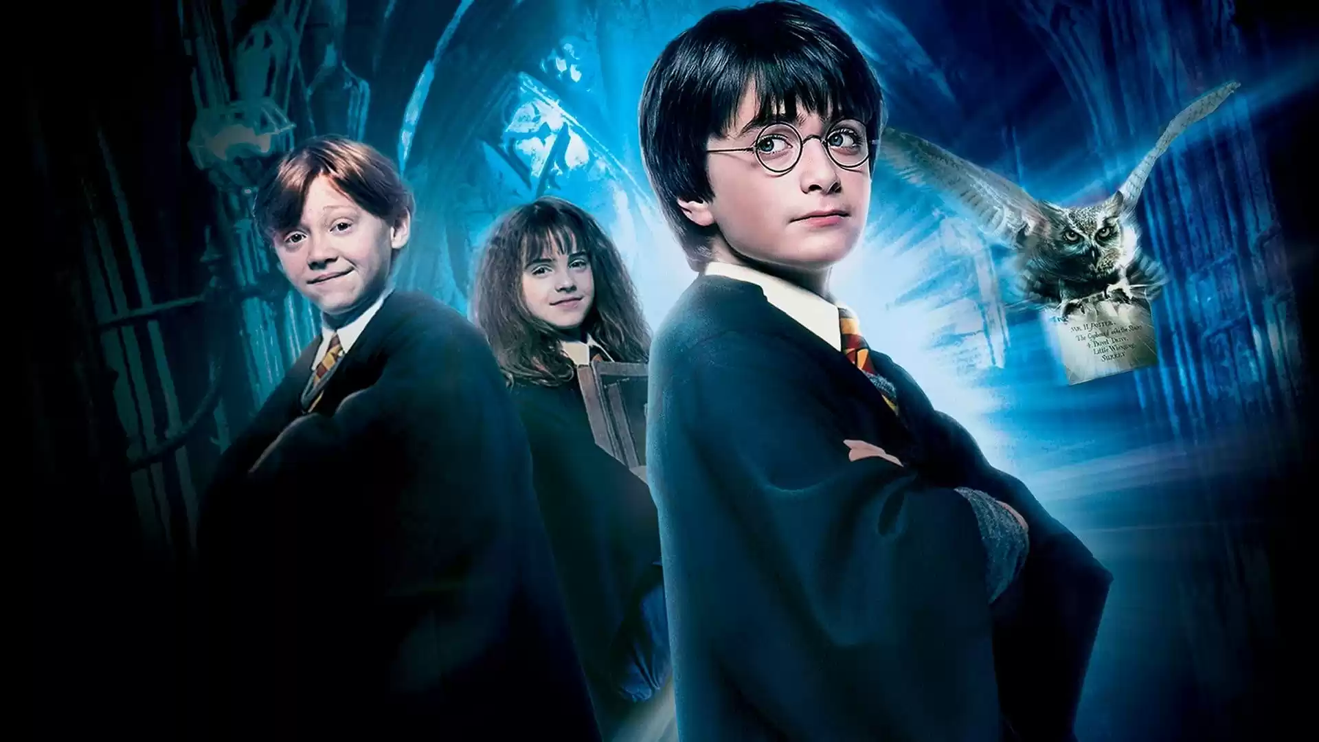 Harry Potter e la Pietra Filosofale: bentornati ad Hogwarts 20 anni dopo