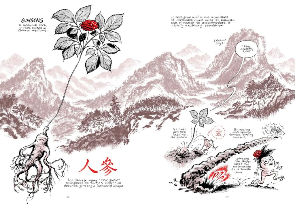 Ginseng Roots Craig Thompson fumetto comics