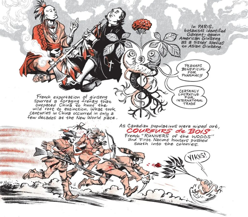 Ginseng Roots Craig Thompson fumetto comics